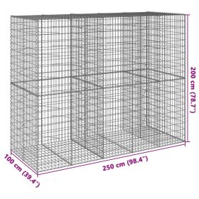 vidaXL Coș gabion cu capac, 250x100x200 cm, fier galvanizat