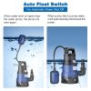 750W Submersible Dirty Clean Water Pump
