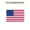 8FT Silver Telescoping Al Flag Pole With US Flag & Ball