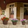 Outdoor Reinforced And Anticorrosive Chinese Fir Planting Pot Flower-Shaped Barrel Carbonized Color