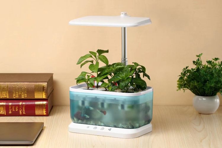 Mini Intelligent Hydroponic Planter Suitable For School, Family, Office, Home, Gift