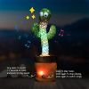 Plush Dancing Cactus Repeat What You Said Kids Stuffed Toys Singing Spanish Song Shaking With Music Plant Toy Children Education