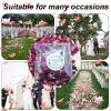 20/30/50pcs Natural Wedding Confetti Dried Flower Rose Petals Confetti Birthday Party Decor Biodegradable Bridal Shower Supplies